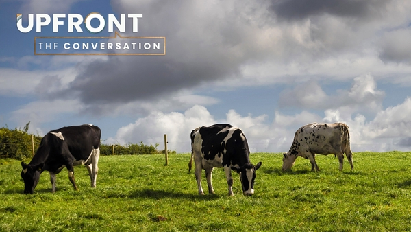 Do we need to reduce our national herd?