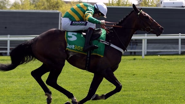 Jonbon will not be racing in today's Champion Chase