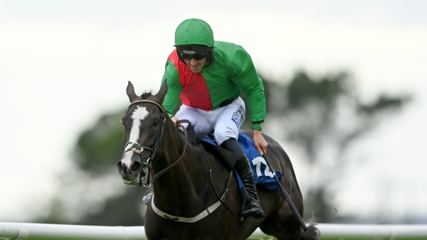 Echoes In Rain impressed at Punchestown