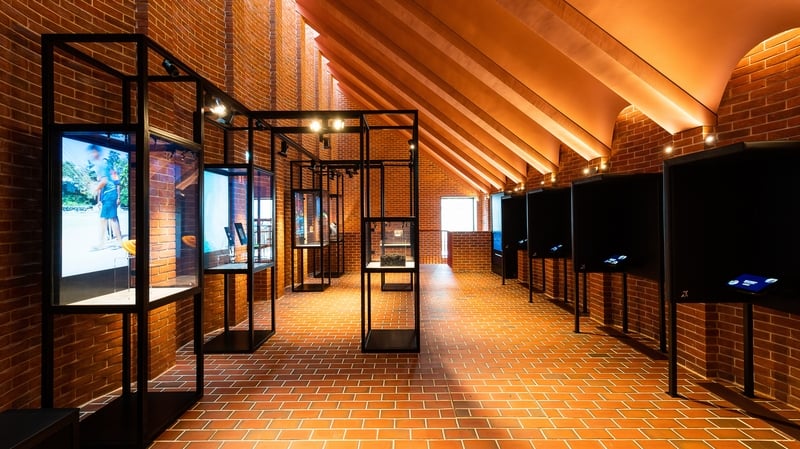 The International Rugby Experience venture in Limerick recorded losses of €1.05m last year