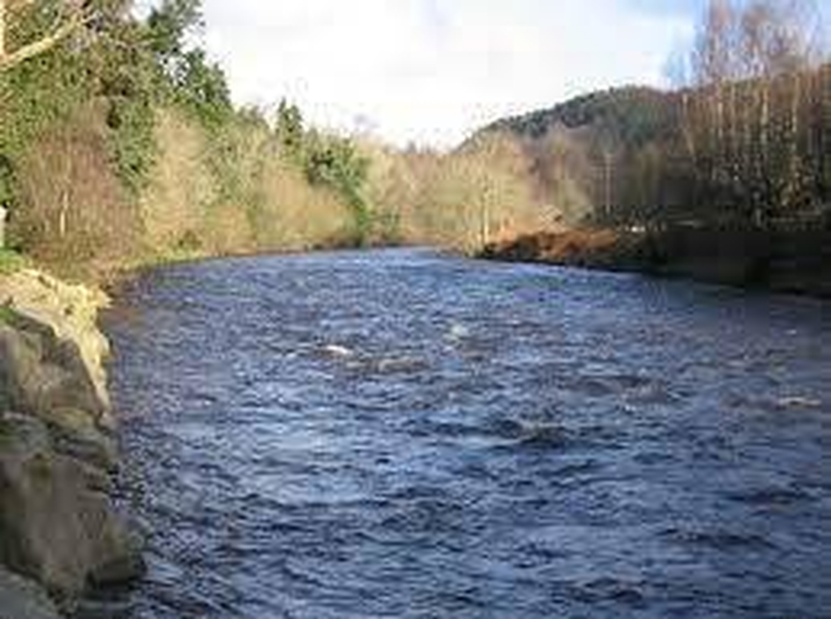 Bank Holiday Special : A Wicklow River Walk - Part 1