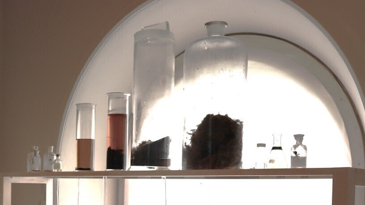 Siobhan McDonald, Artist Exhibition 