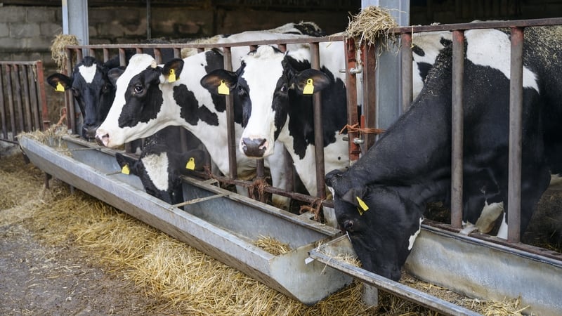 A sharp downturn in dairy commodity prices internationally drove down milk prices
