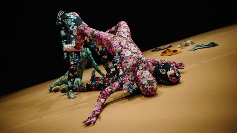 Liz Roche's Yes and Yes comes to the Dublin Dance Festival