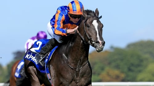 Auguste Rodin could win a third successive Group One