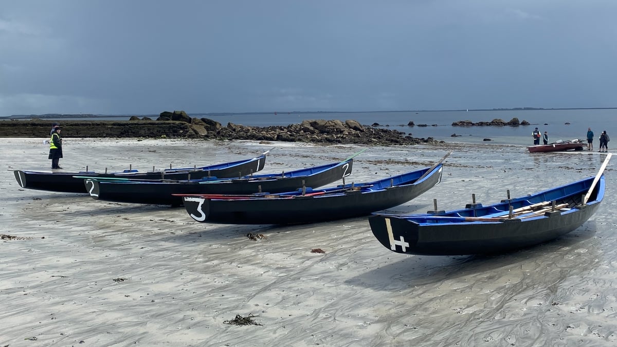 Collette Furey, ó Choiste Eagraithe An Tóstal