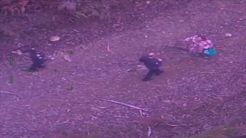 An extensive search began when Lillian Ip failed to check in with loved ones by 30 April (Pic: Victoria Police)