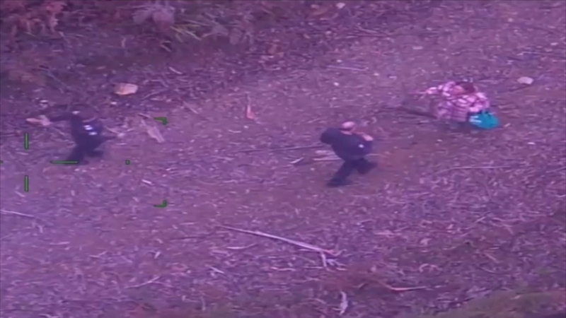 An extensive search began when Lillian Ip failed to check in with loved ones by 30 April (Pic: Victoria Police)