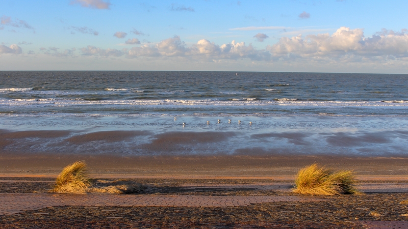 The mayor of Grande-Synthe in northern France, brought the case in 2019 saying the coastal town was in danger of being submerged (File photo)