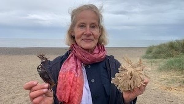 'We have far more biodiversity at sea than on land' says Coastwatch's Karin Dubsky
