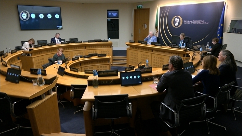 The committee was told that seven of the nine HSE areas nationwide have no neuro-rehabilitation community teams up and running