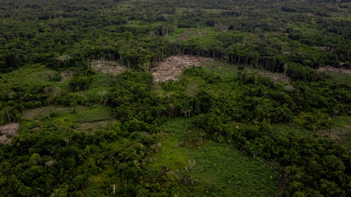 More than 100 soldiers with sniffer dogs had been searching for the missing children in the Colombian Amazon (file pic)