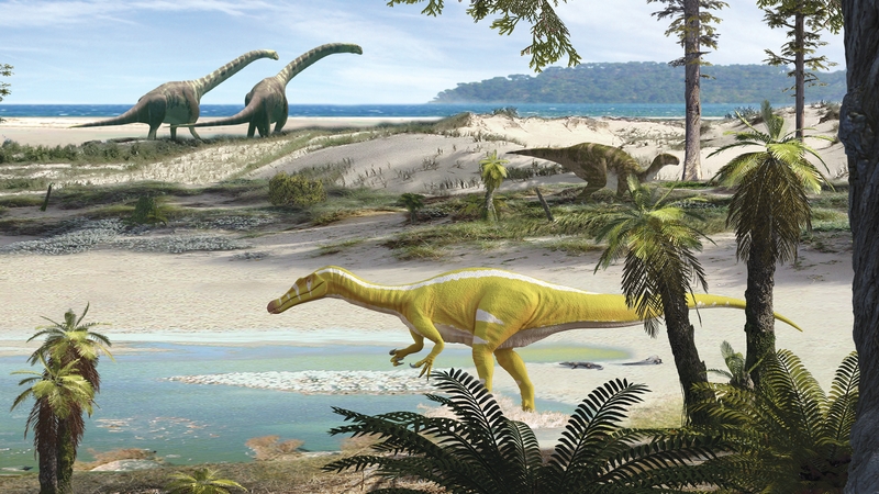 Artist impression of a Protathlitis cinctorrensis in the foreground, and in the background an Iguanodon and two sauropods. Photo courtesy of Oscar Sanisidro