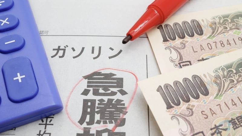 The Bank of Japan last month raised interest rates for the first time since 2007 and scrapped the world's last negative interest rate as it reached its 2% inflation target