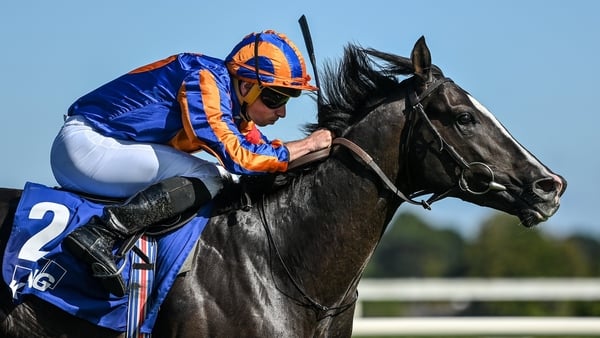 Auguste Rodin is going for a Derby double