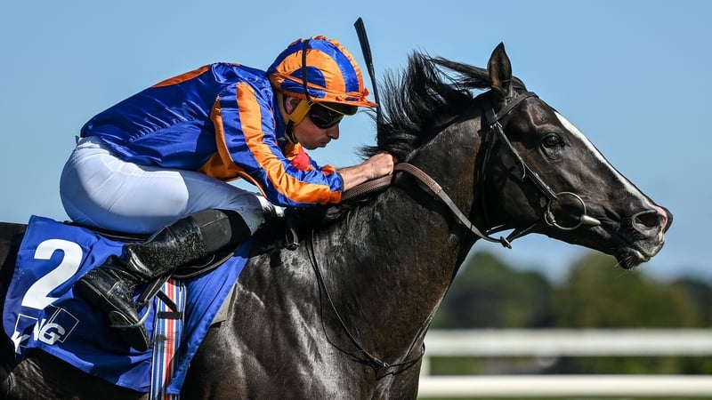 Auguste Rodin is going for a Derby double