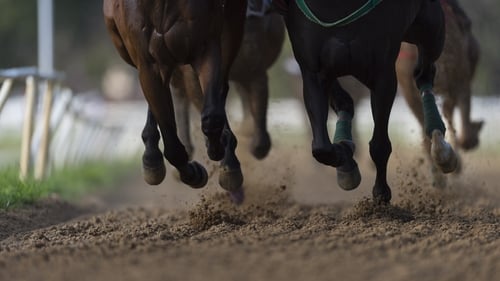 The figures show that in 2022, there were 107 horse fatalities at Irish racecourses (Stock image)