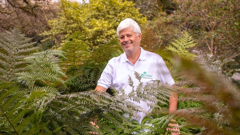 Billy Alexander said it is a great feeling to win again at the Chelsea Flower Show