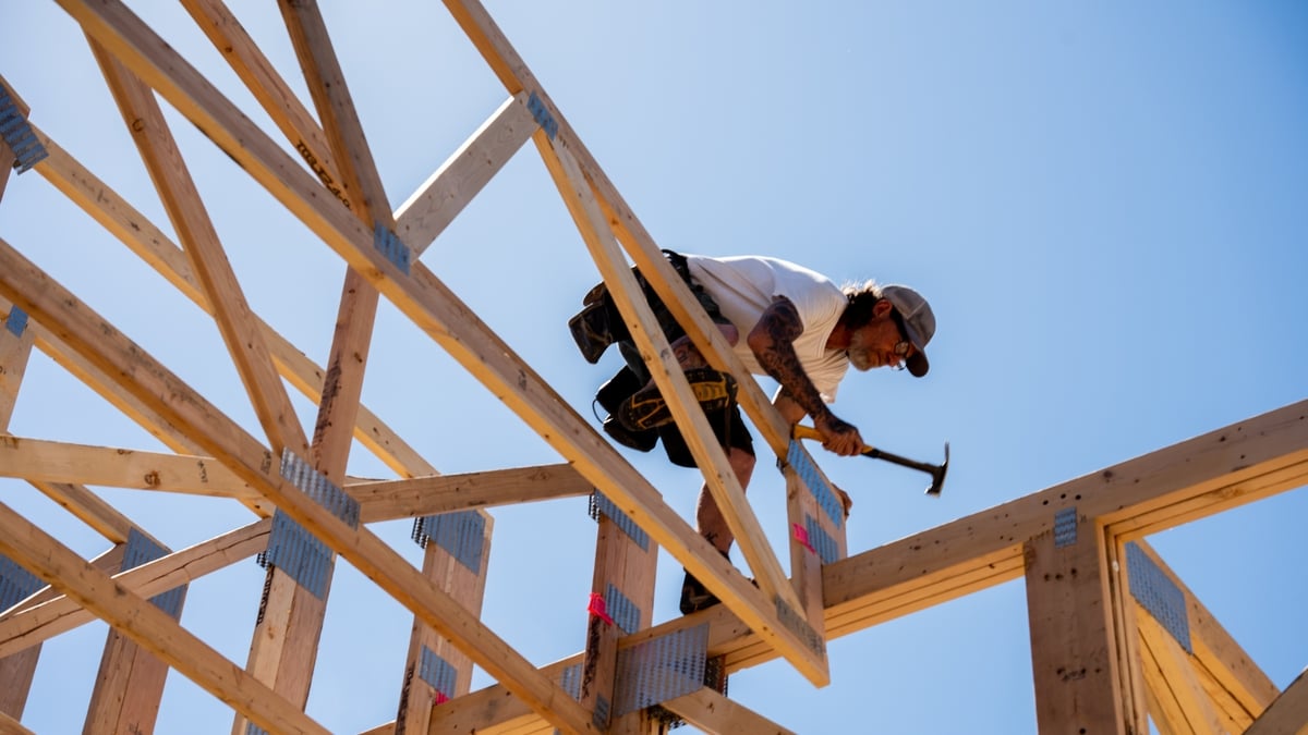 Less blocks, more wood: The Green Party says we need more timber homes to meet climate targets