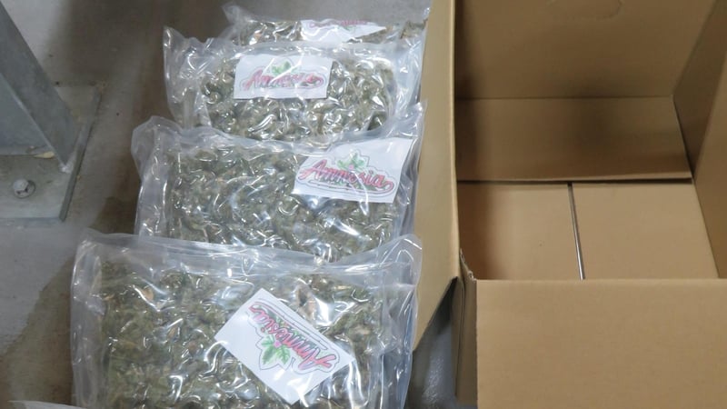 300kgs of cannabis, worth £6m, were seized at Belfast Port