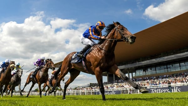 "He is standing up to a lot of scrutiny and it is the ease with which he is doing it." - Aiden O'Brien is pleased with Paddington