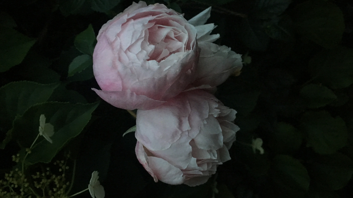 Ambient Orbit Monday 29 May 2023