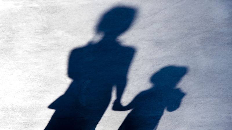 The centre also did not notify the child and family agency Tusla for three days and reported the incident to gardaí after 11 days (stock image)