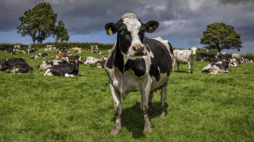 The dairy profits figure was up 53% on 2021