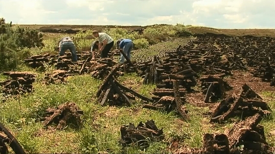 Footing the turf on Bellanagare Bog in County Roscommon, 2008.