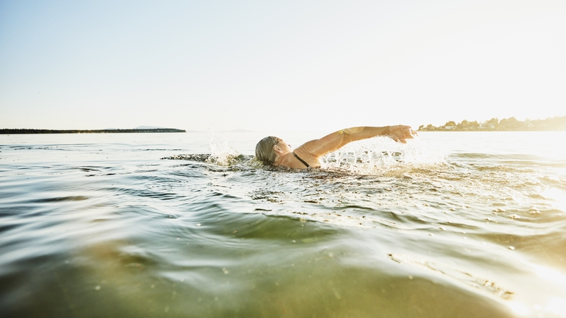 The algae was detected in the swimming area and at Mountshannon pier