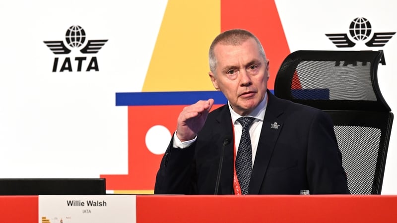 International Air Transport Association General Director Willie Walsh