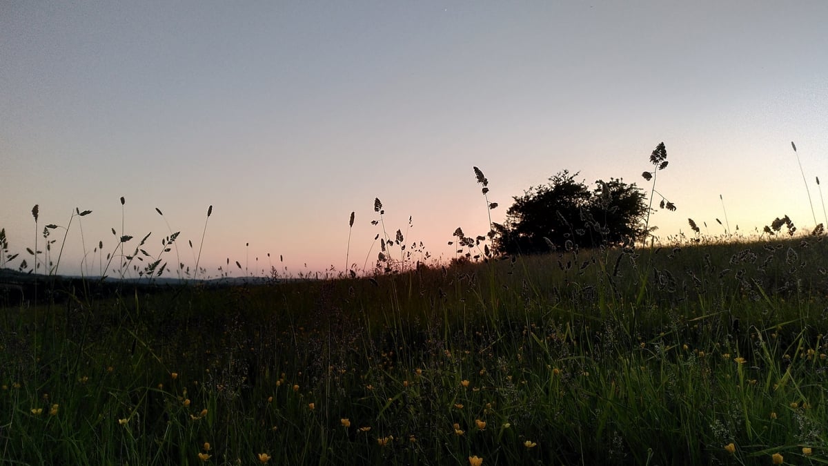 Ambient Orbit Monday 5 June 2023