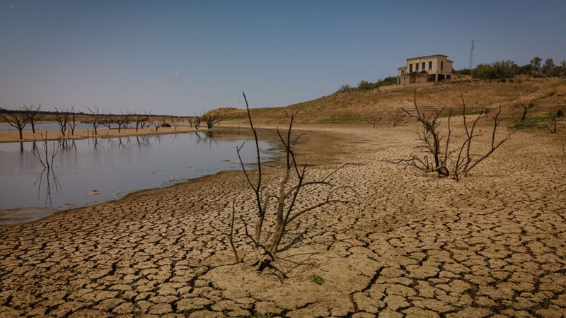 A practically empty reservoir in Cordoba, pictured last month