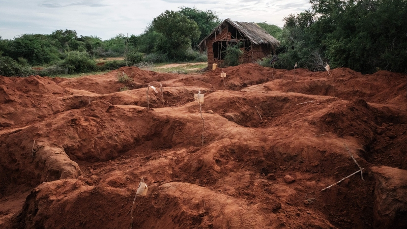 The discovery of mass graves in Shakahola forest, a 325-hectare bushland that lies inland from the Indian Ocean town of Malindi, has shocked Kenyans