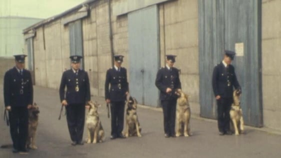 Dublin Harbour Police and dogs (1978)