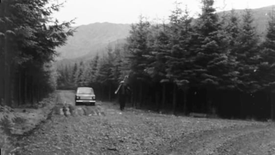 Gougane Barra Forest, County Cork in 1963.