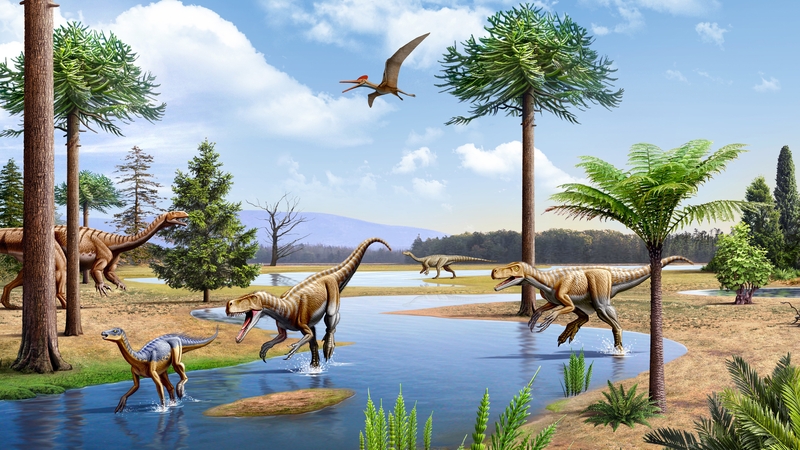 According to the findings, all the great evolutionary branches reveal giving birth to live young and extended embryo retention in their ancestors