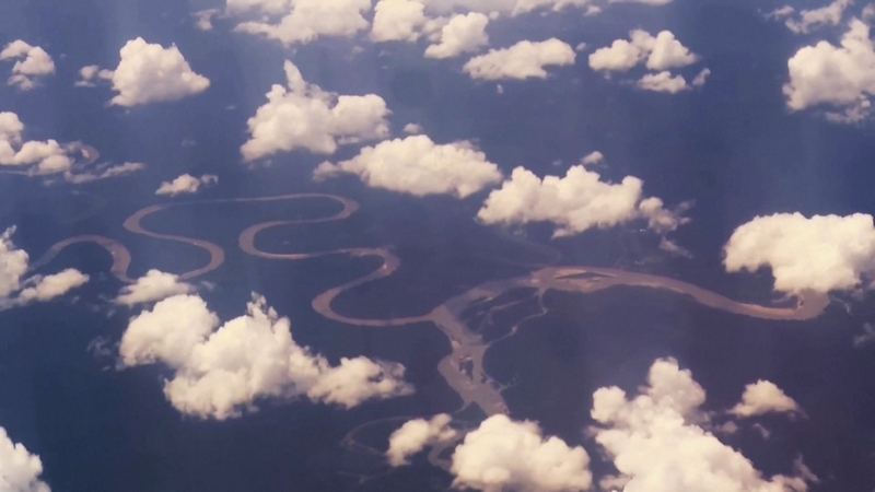 An ariel view of the Amazon rainforest, where biodiversity is being blighted by mining and logging
Courtesy of Timbuktu Content/ABB