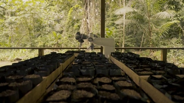 'Madre de Dios', Spanish for 'Mother of God' is able to remove soil and plant seeds all in one box, 16 at a time
Courtesy of Timbuktu Content/ABB