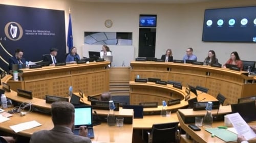 The Oireachtas Committee on Assisted Dying is due to publish a report on its recommendations next March (File image)
