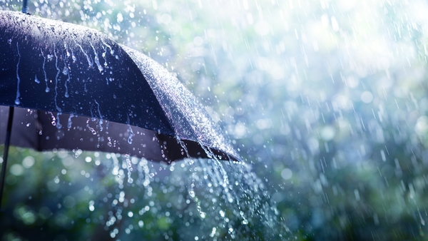 Met Éireann has warned of thunderstorms bringing frequent lightning, heavy downpours (file image)