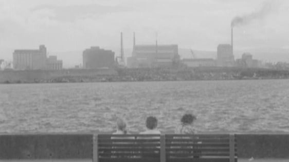 Dublin Bay (1973)