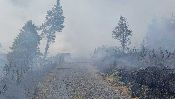 Around 80 firefighters from the Northern Ireland Fire and Rescue Service have been tackling the fire for several days