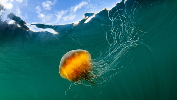 Getty Images