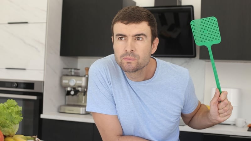 Banish those bugs with these top tips from the experts. By Sam Wylie-Harris.