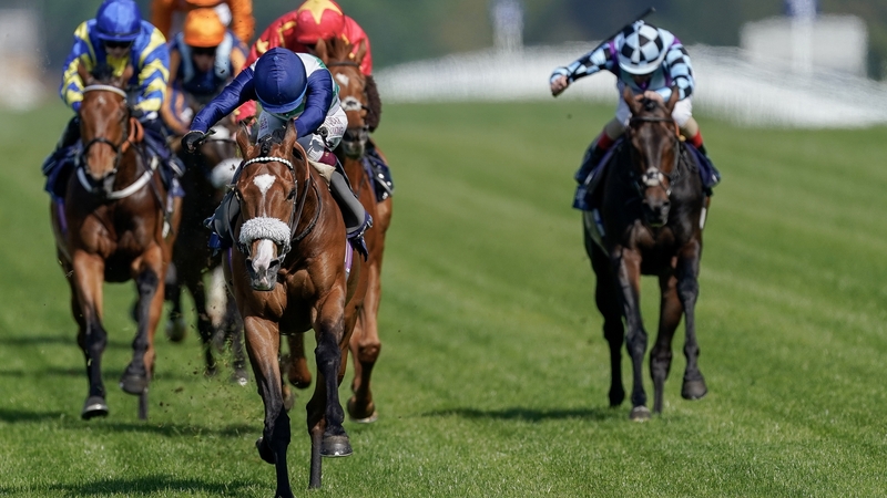 Coltrane boasts form figures of 121 in three starts at the Berkshire track