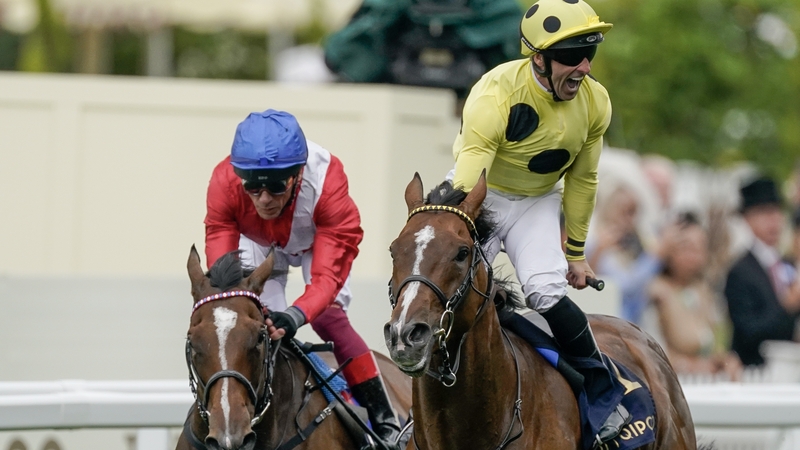 Neil Callan celebrates enthusiastically after scoring a shock win on Triple Time