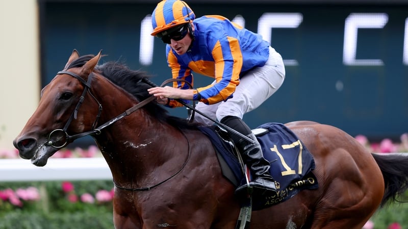 River Tiber is a general 8-1 favourite for next year's 2000 Guineas