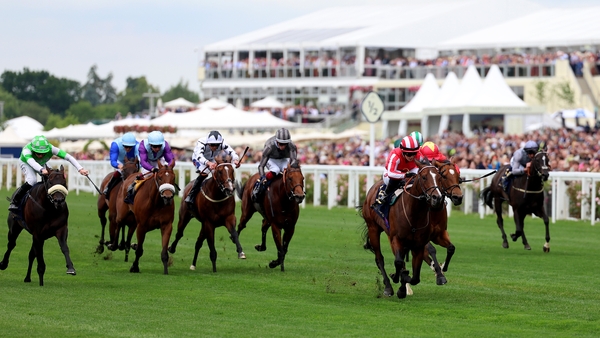 Bradsell holds off Highfield Princess