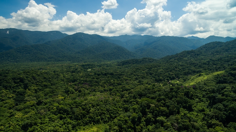 The search took place between March and June using aerial laser mapping technology (file image)